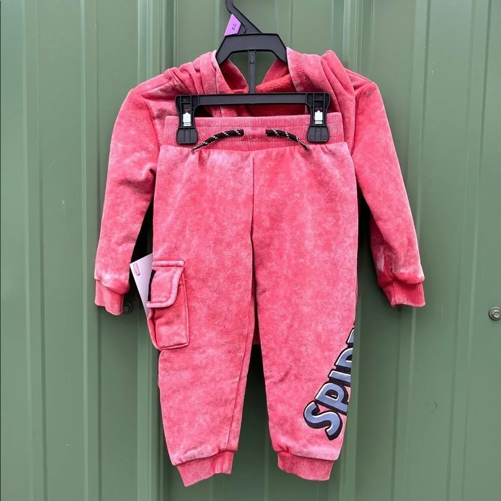Baby Boys Graphic Hoodie & Jogger Pants 4, 2-Piece Sets Size 12M